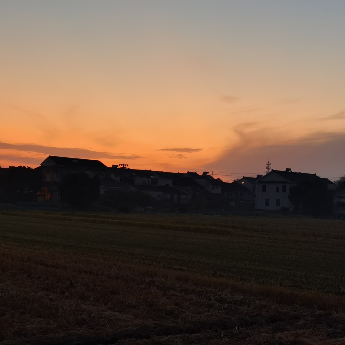 爱吃蒸肉丸子的幸运星