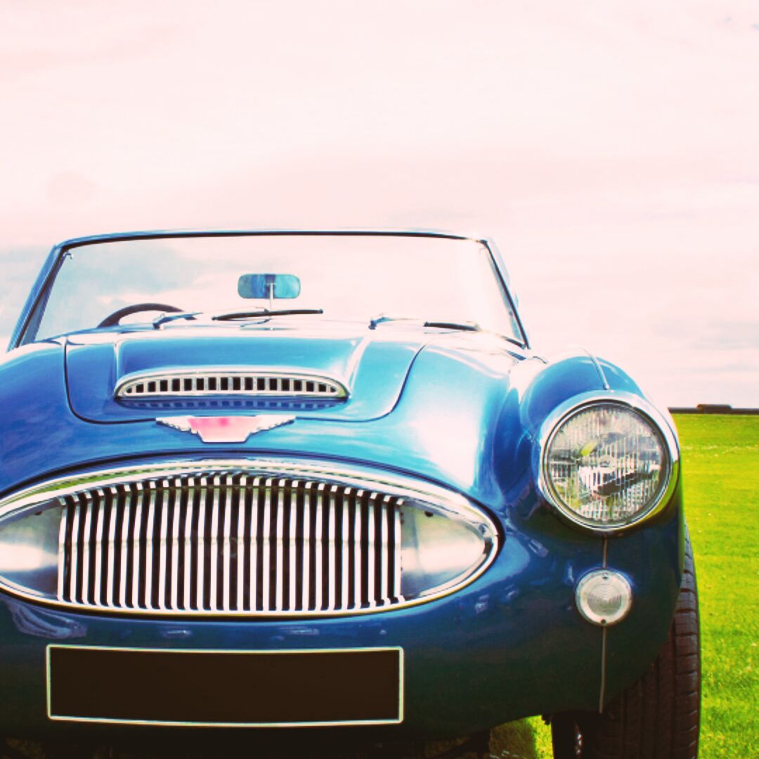 爱吃焦溜肉段的芋泥