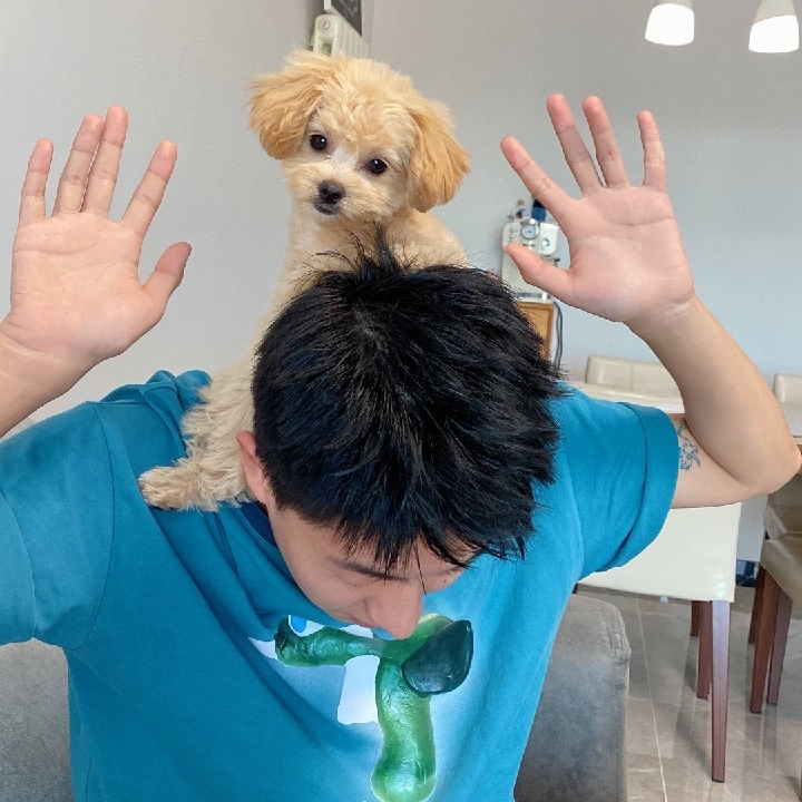 看见我这一肚子坏水了吗