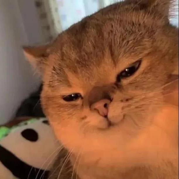 是诸葛钢铁不是钢蛋铁柱呀