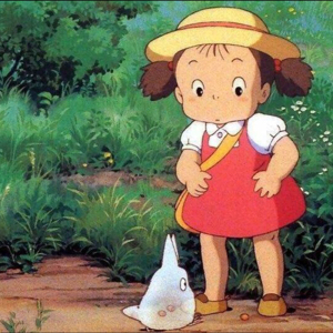 戴风信子的猫猫儿