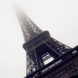 安静的小熊猫年再