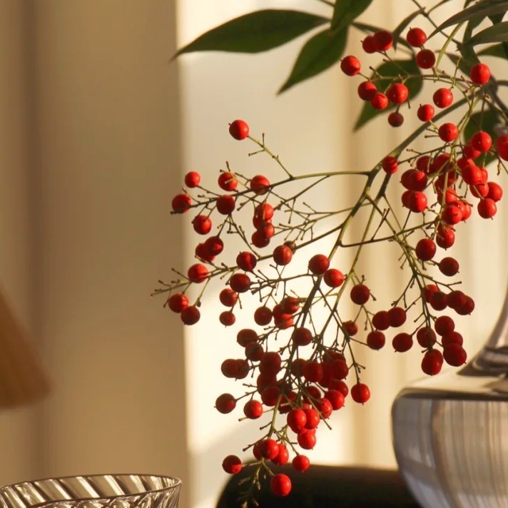 相忘于江湖宝宝