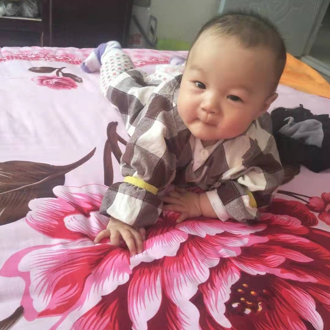 随风奔跑很坦荡