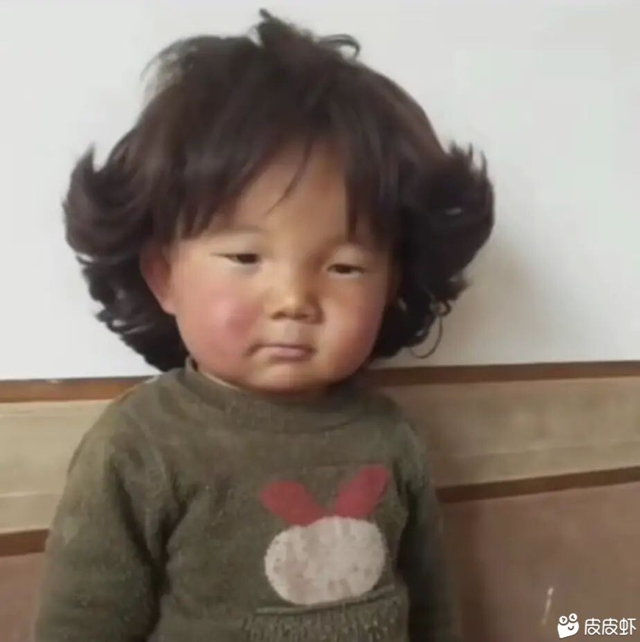 札幌高高的柑桔