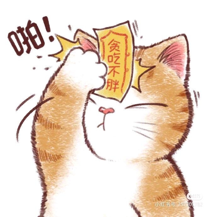 爱吃肉的胖纸555