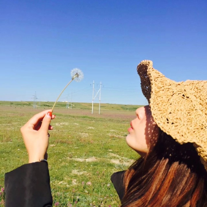 爱吃芋头焖鹅的春风