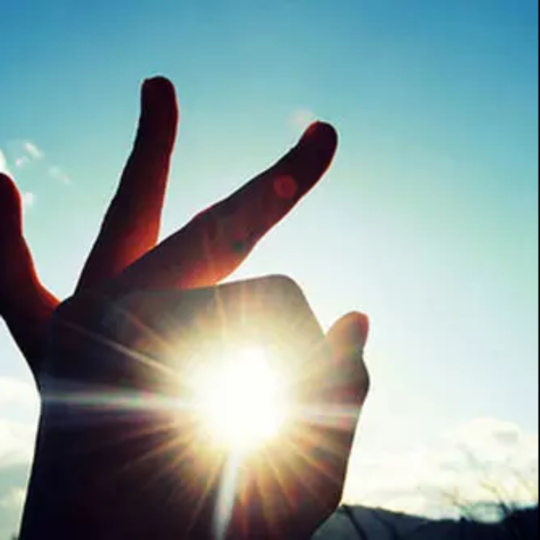 红殷殷的乌柳想远