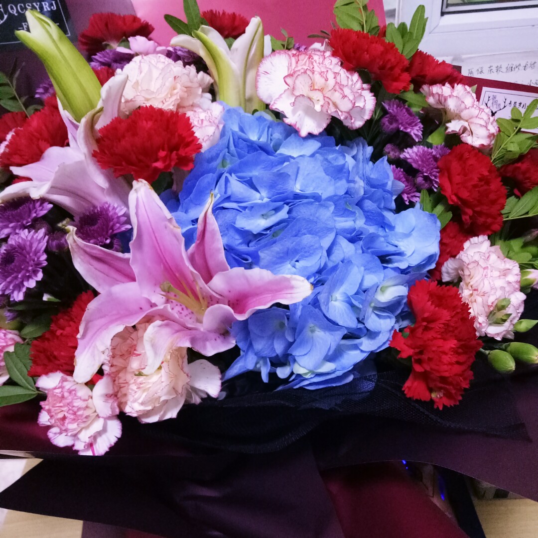 飞呀飞呀飞呀飞yf