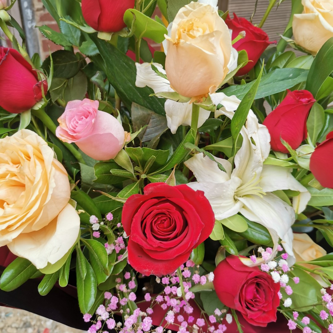 哈尼你是宝贝儿