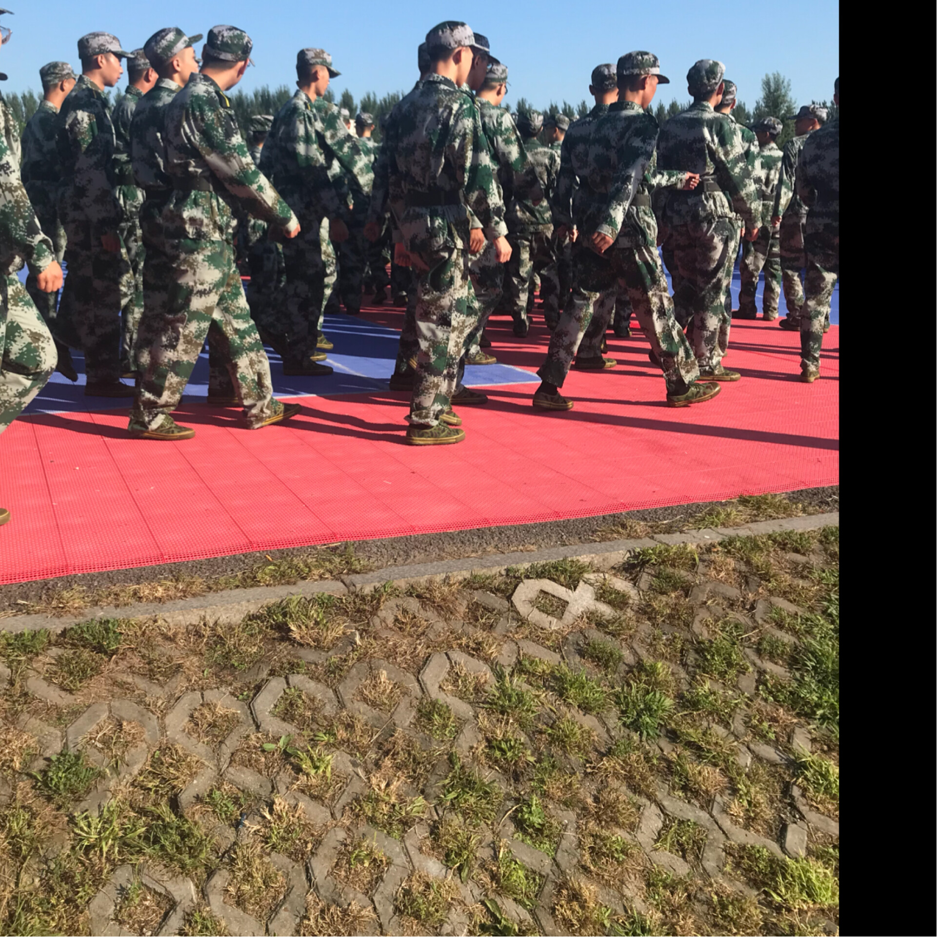 美丽的草原usa818