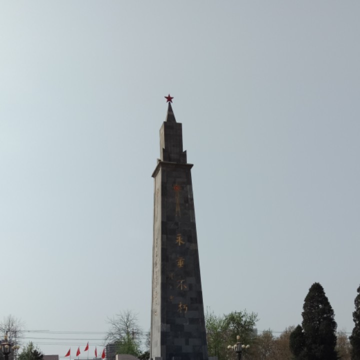 芳草街积极的琥珀