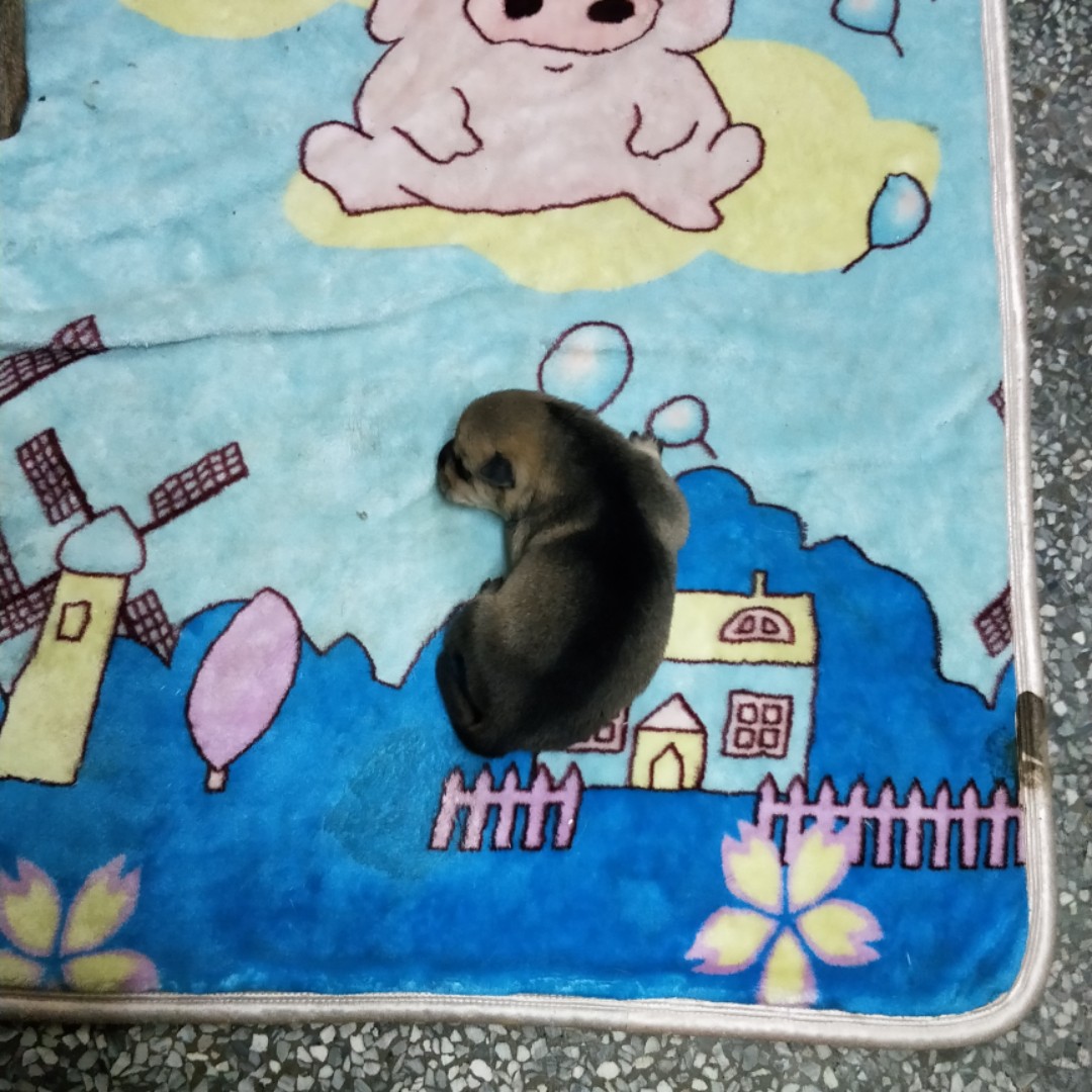 原来淘宝名字也可以这么长