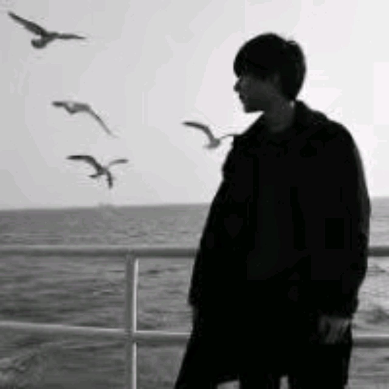 一只忧桑的咸鱼