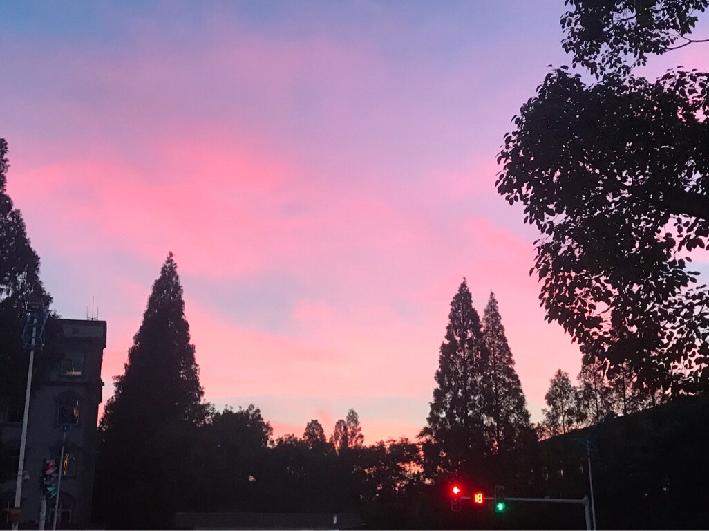 爱吃白勺明虾的阿狸淘淘