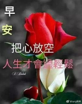 爱吃锡纸包鸡的长卿