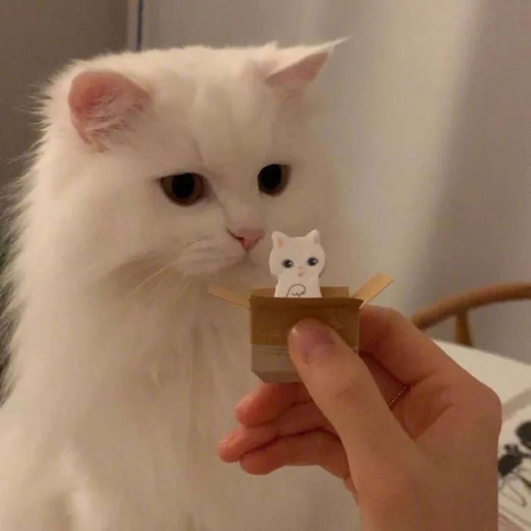 所有人都在玩手机