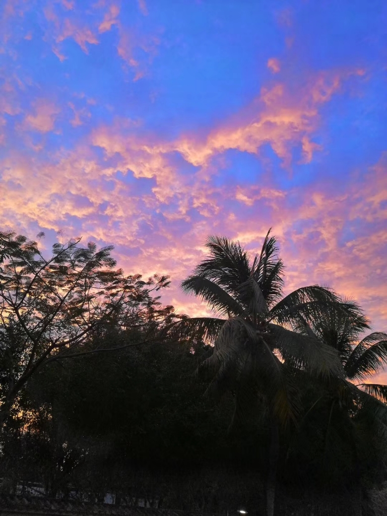 哈哈哈哈哈哈哈哈