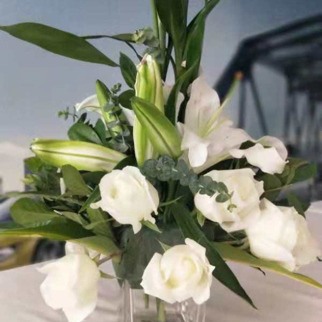 爱吃三丝拌蛏的豆豆卜蹲