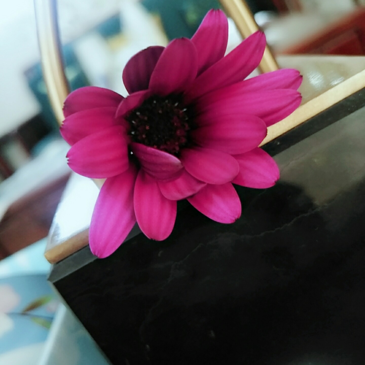 堆雪人泡泡球27