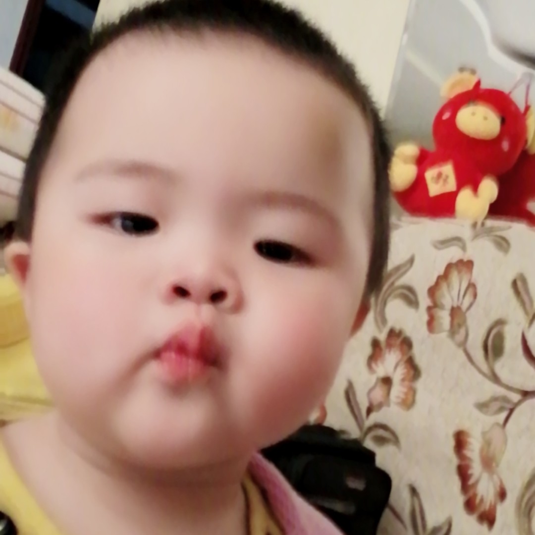 嗨！我是张大大