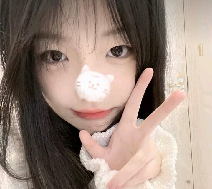 那里有一只长颈鹿