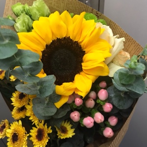 人间有味是清欢0825