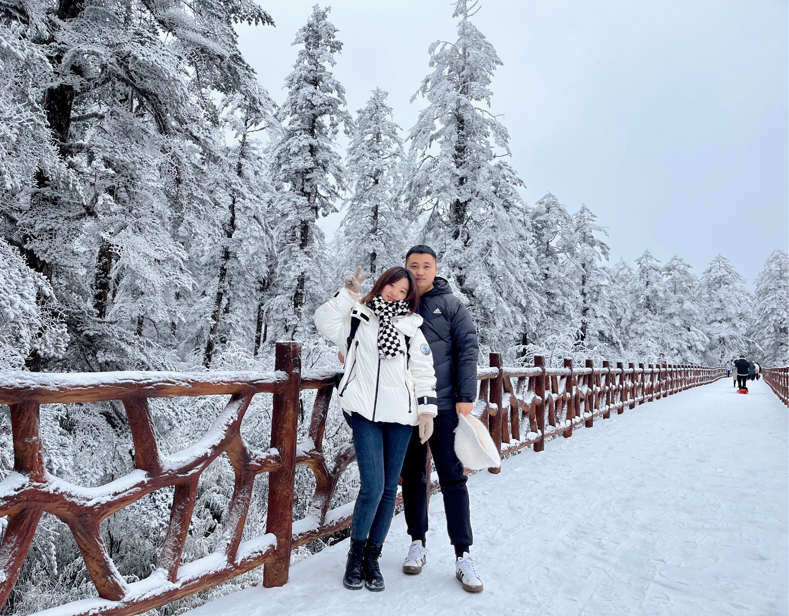 东汉狮子座菠菜