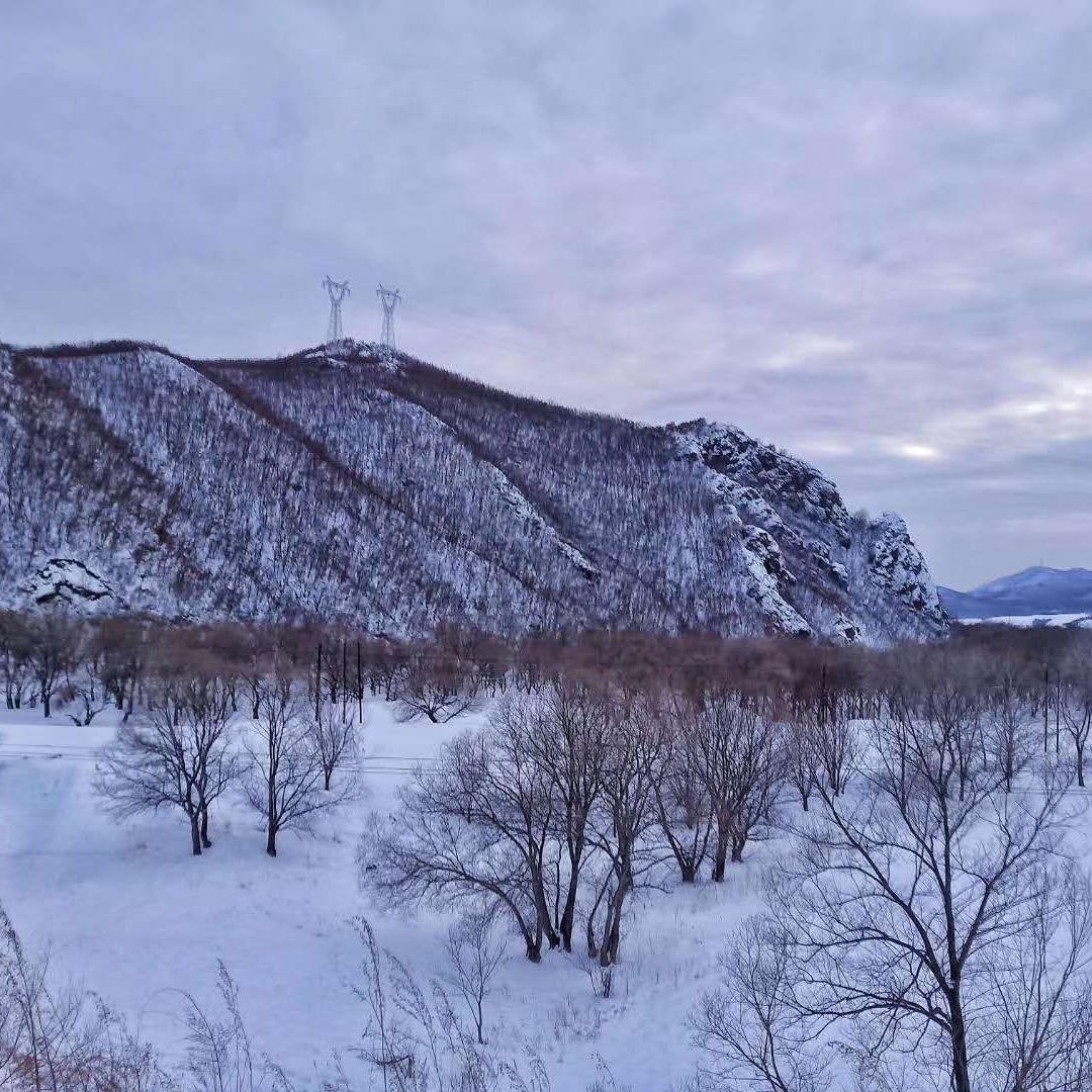 爱吃脆炸肉片的麻薯