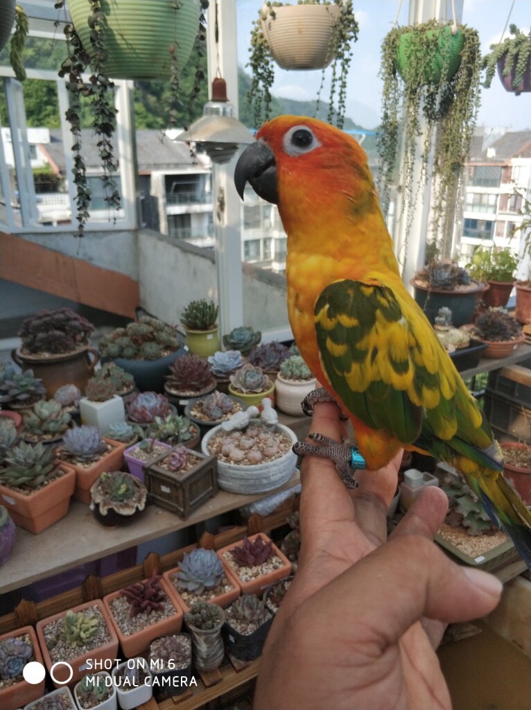 上走219，下走318