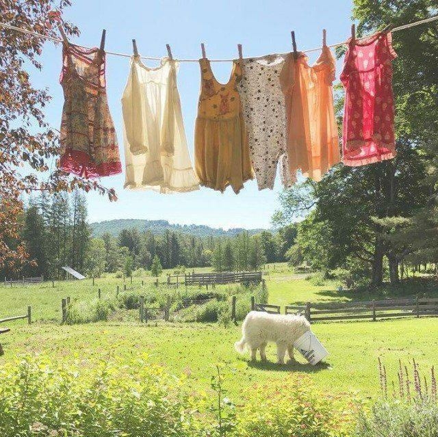 盐市口潜水金鱼