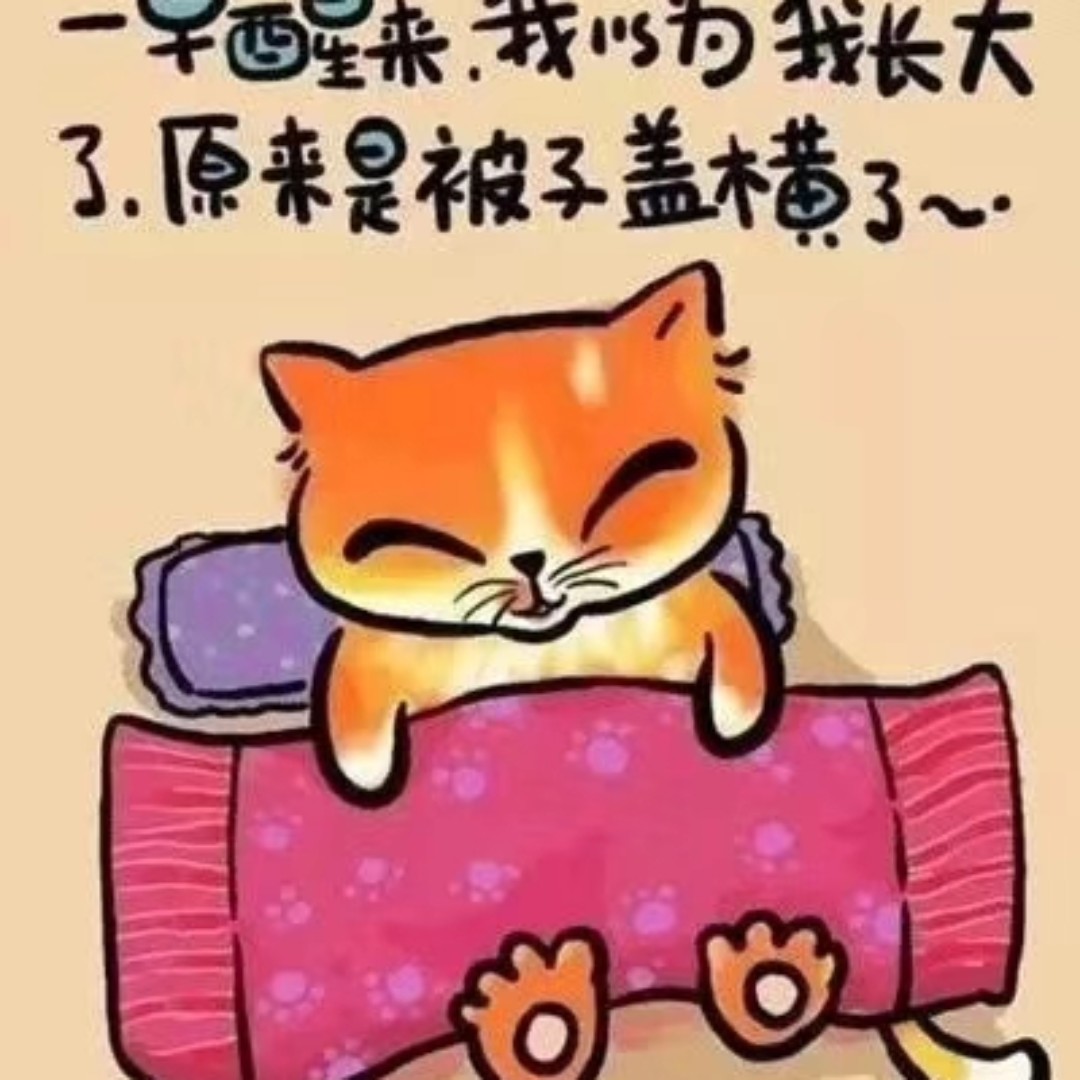 天真de宙斯的猫