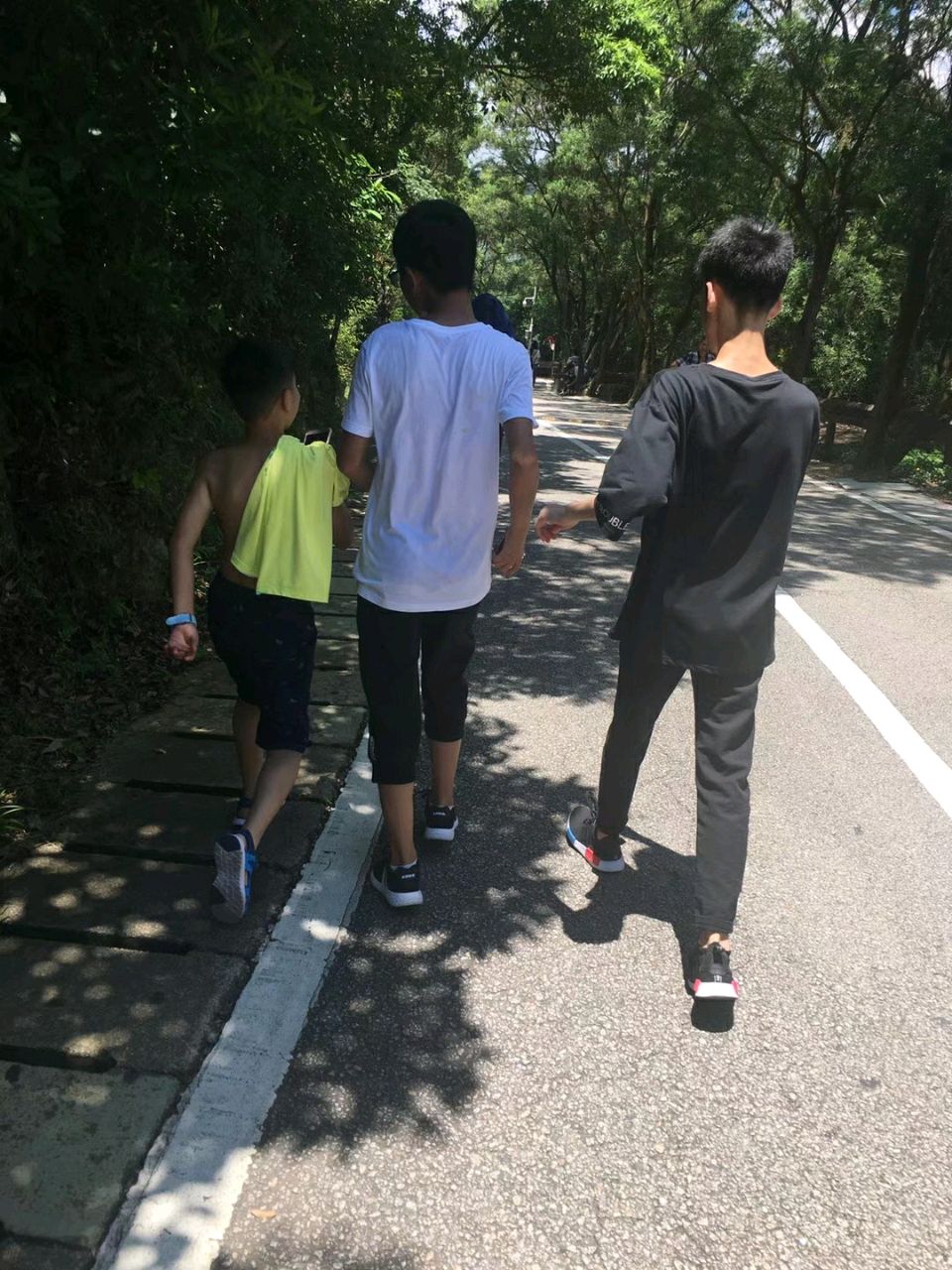 小可爱的小精灵