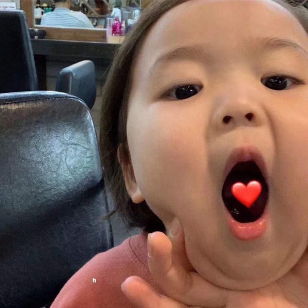 粉扑扑的秦氏卷柏