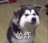 你不困我都困了