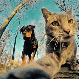 单手操作拖拉机