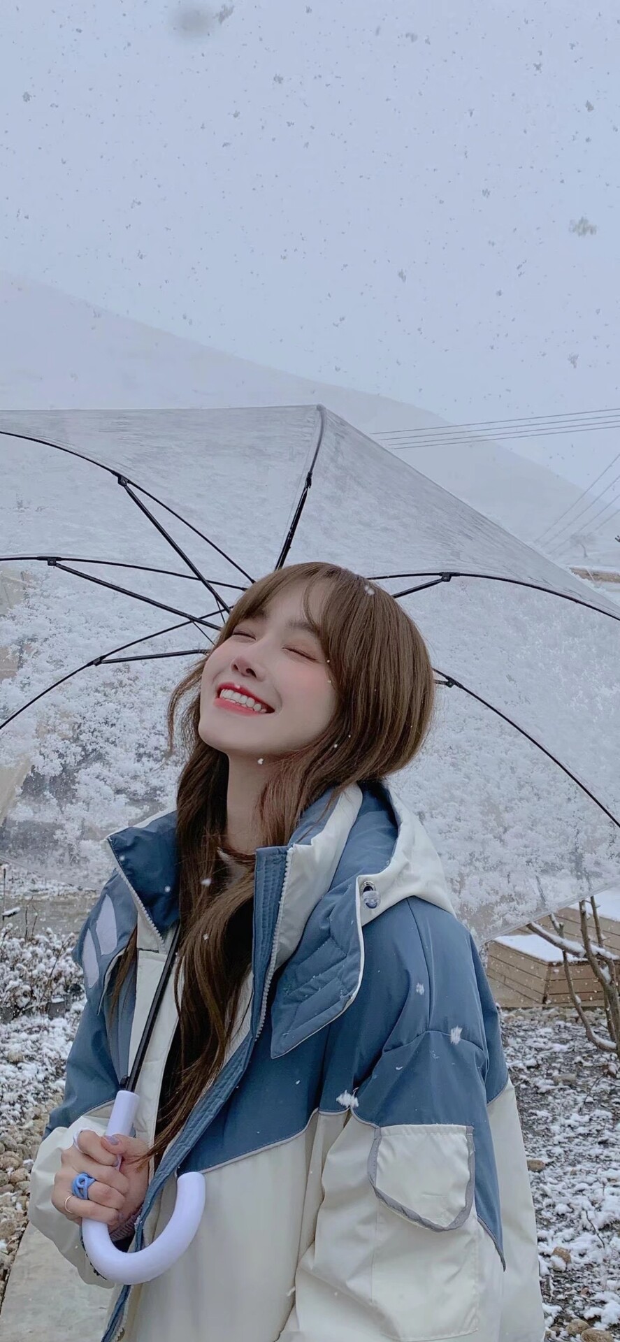 德黑兰狮子座春笋