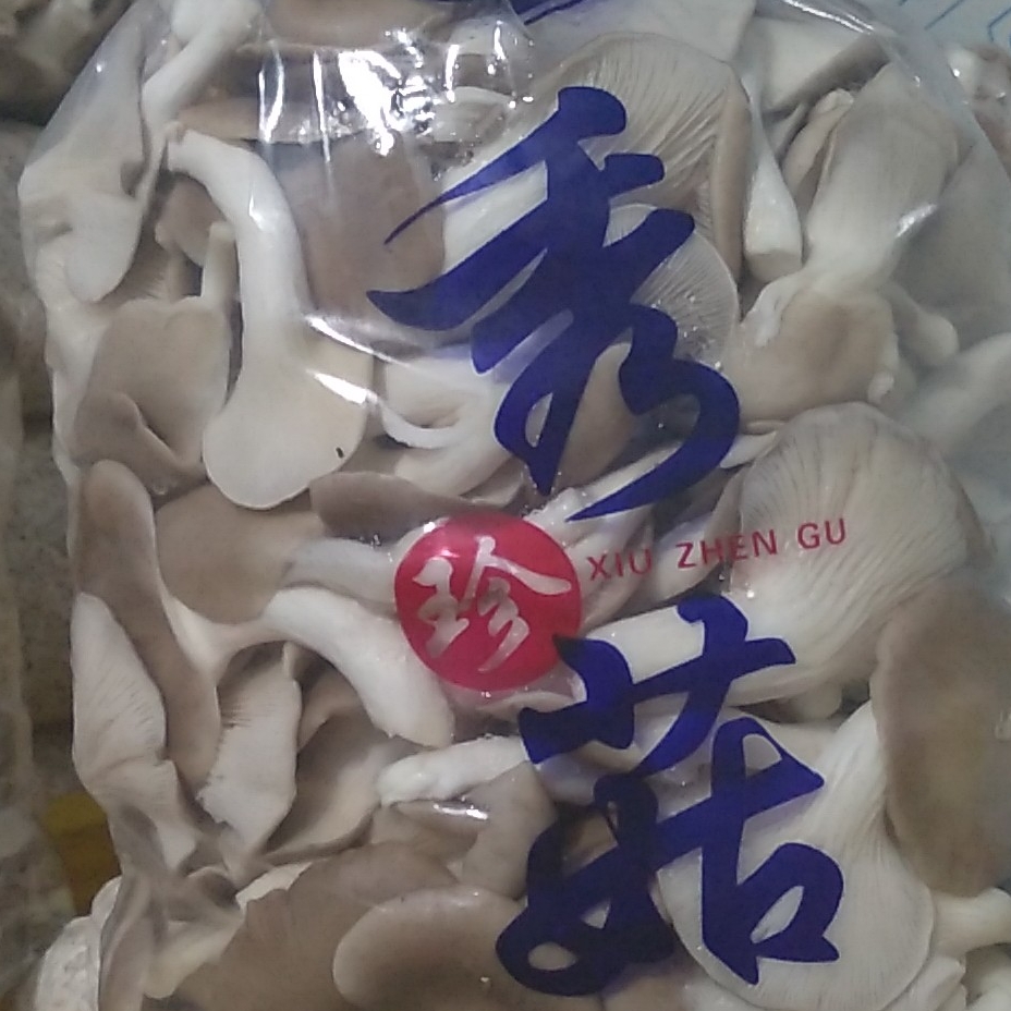 广东省双迪食用菌