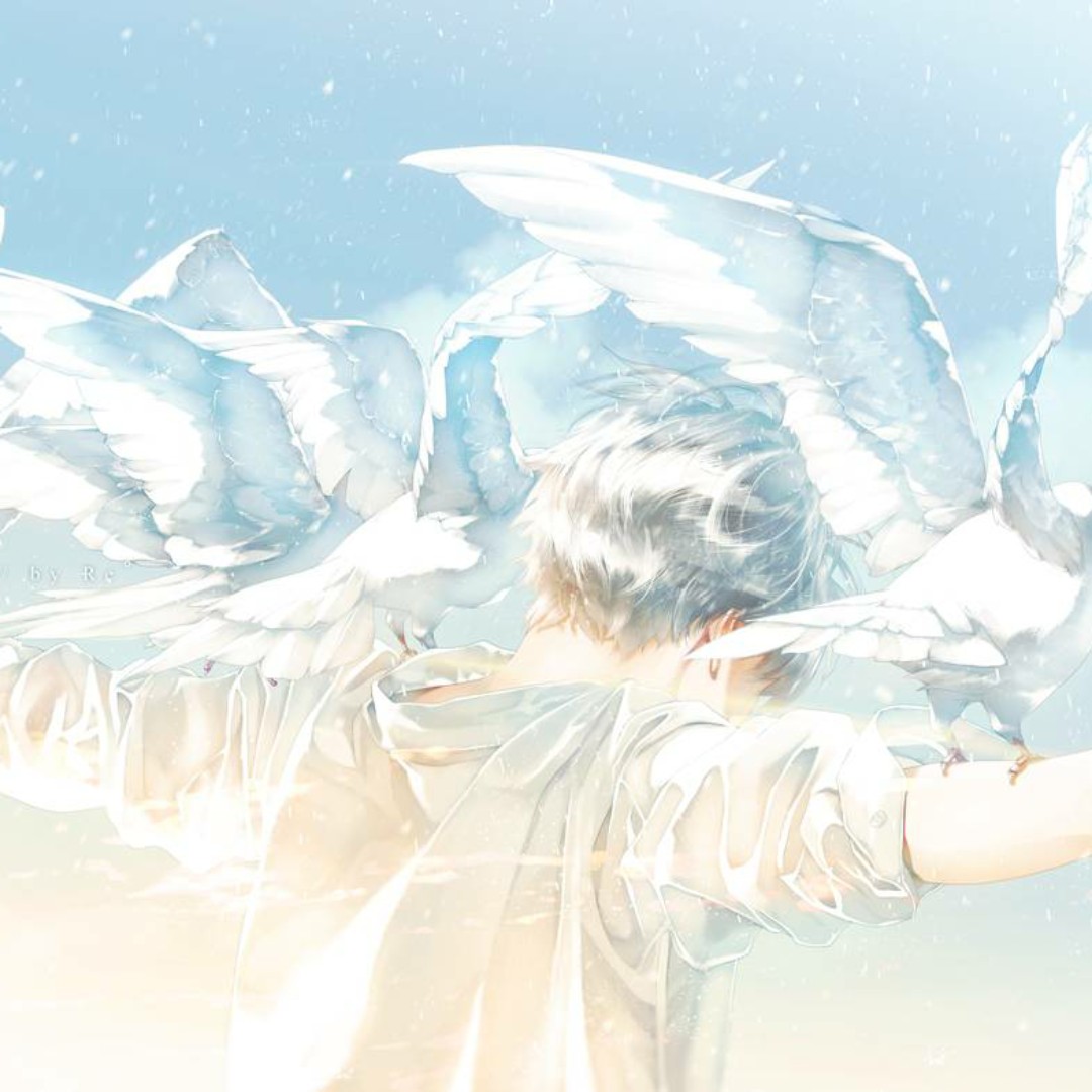 清风徐来少年如风