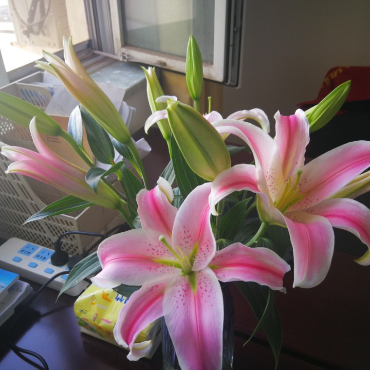 一念红尘一念山水