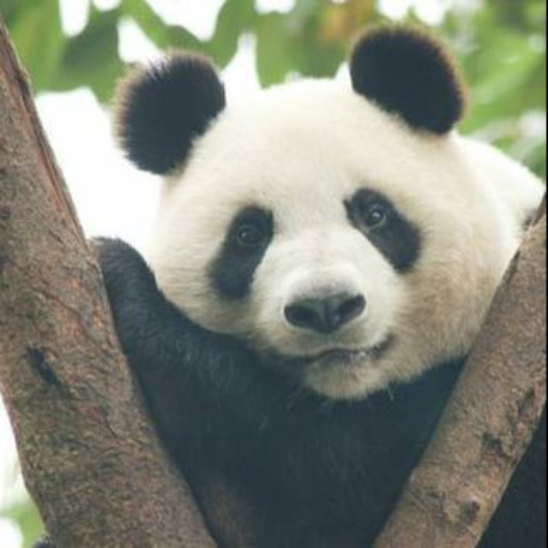 爱玩游戏的经济人