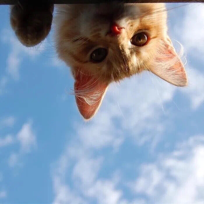 哈利波特哒哒哒哒哒