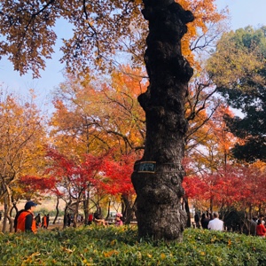 战哥弟弟爱你哈哈