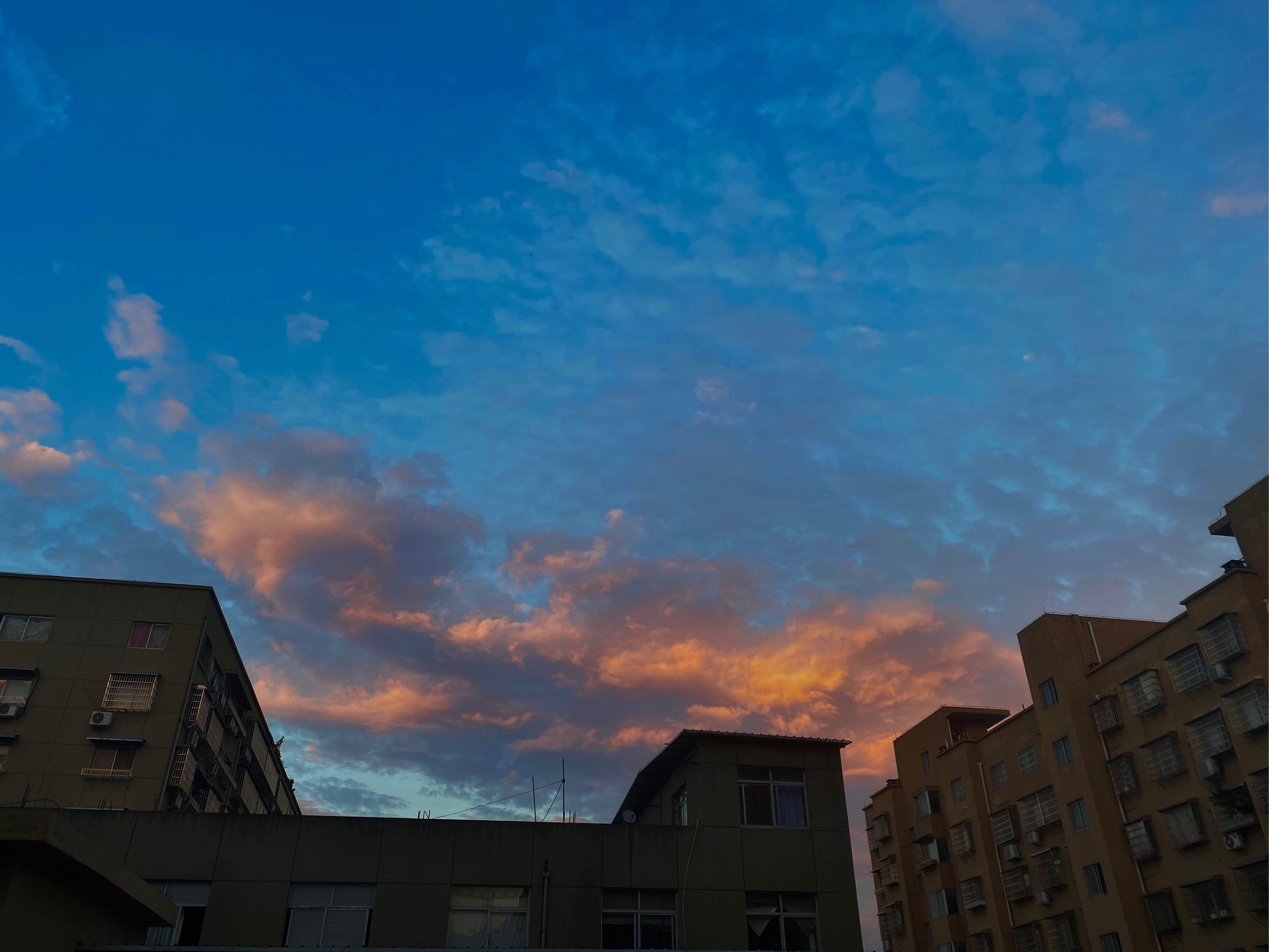 德黑兰欢乐的圆子