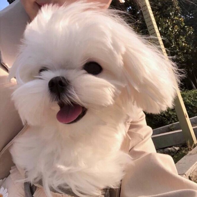 停下来让我拯救你