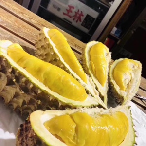 肥仔嫣然一笑我和你