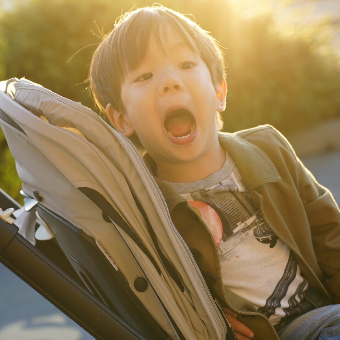 饕帅爱吃小饼干