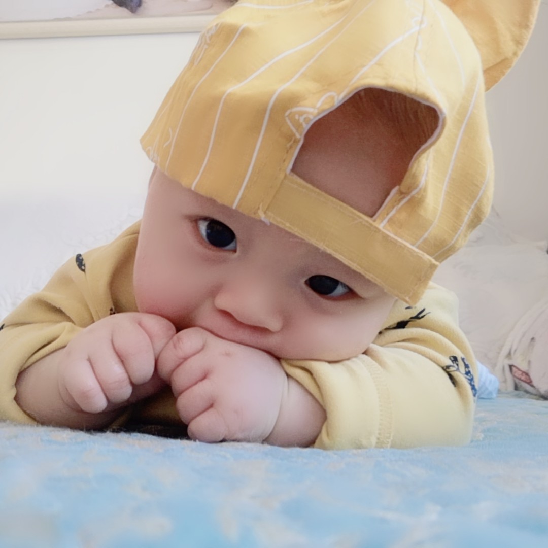 爱吃柚子的柚柚