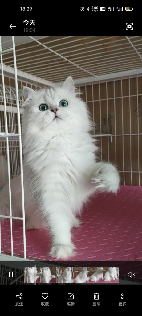 一手养护找代理