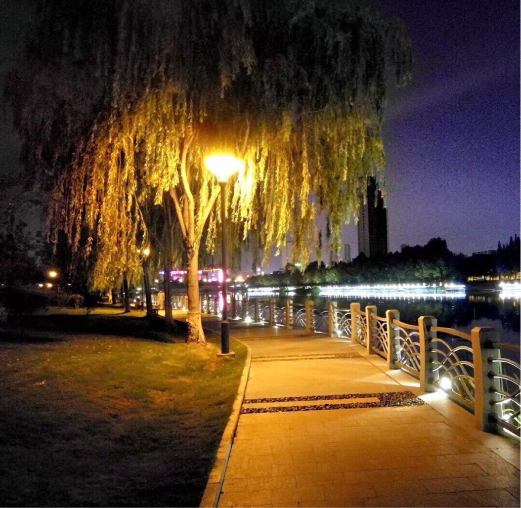 专注磕糖暮凉轮蓬